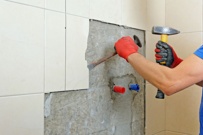Bathroom Demolition