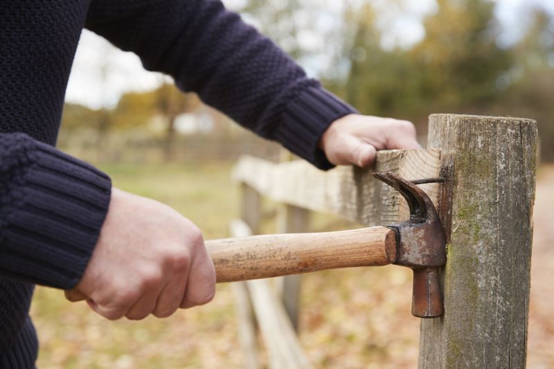 Fence Demolition
