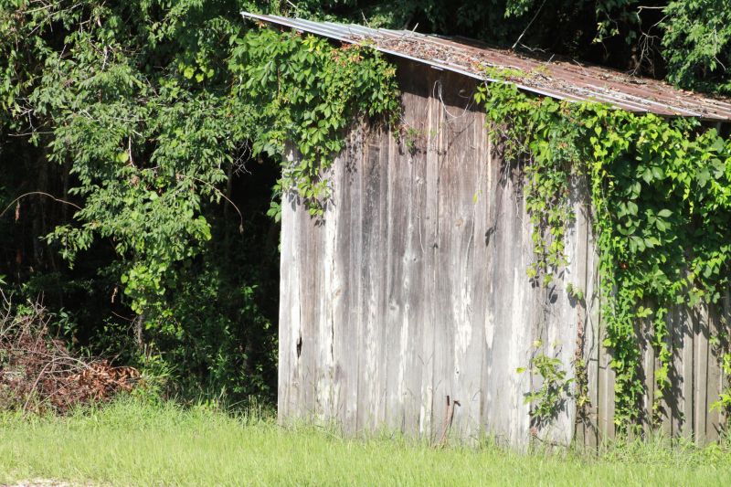 Shed Demolition